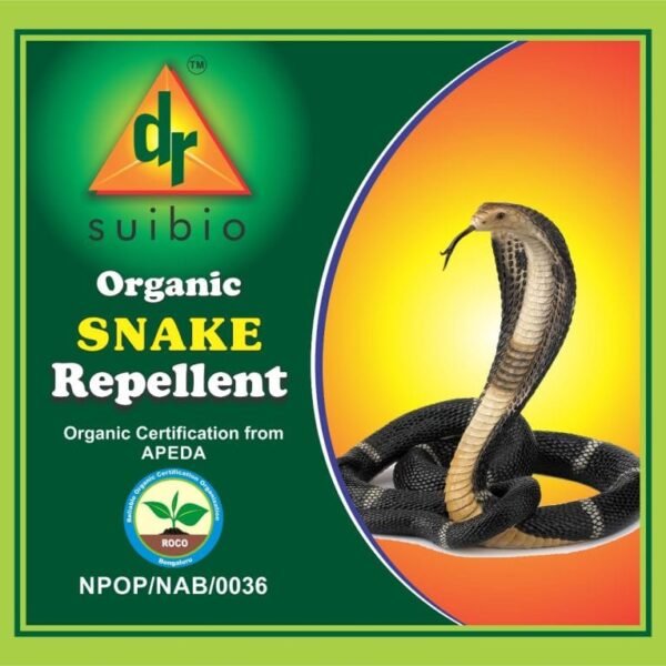 496028927_29508557648759542_1522932437320245848_n