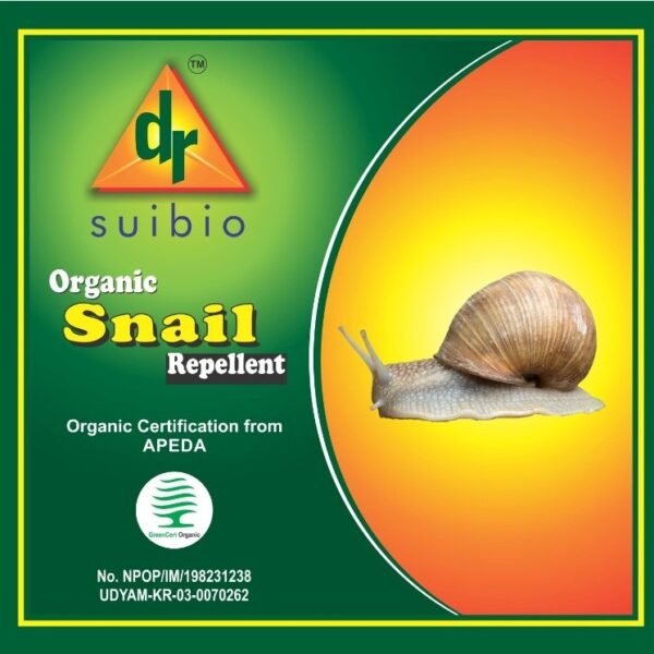 snail