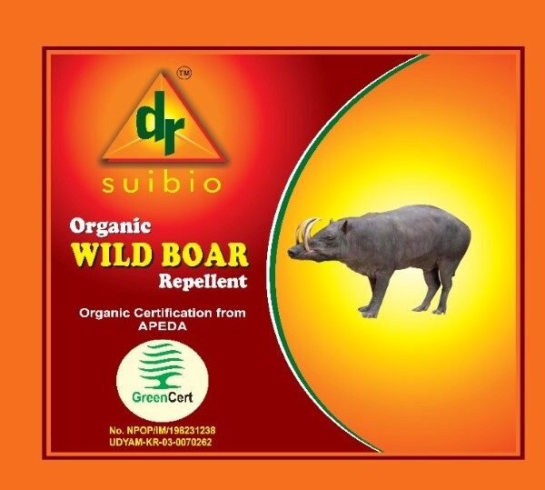 wildboar